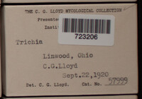 Image Associated With the Occurence